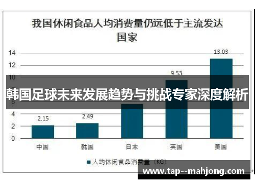 韩国足球未来发展趋势与挑战专家深度解析 韩国足球未来发展趋势与挑战专家深度解析